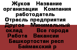 Жуков › Название организации ­ Компания-работодатель › Отрасль предприятия ­ Другое › Минимальный оклад ­ 1 - Все города Работа » Вакансии   . Башкортостан респ.,Баймакский р-н